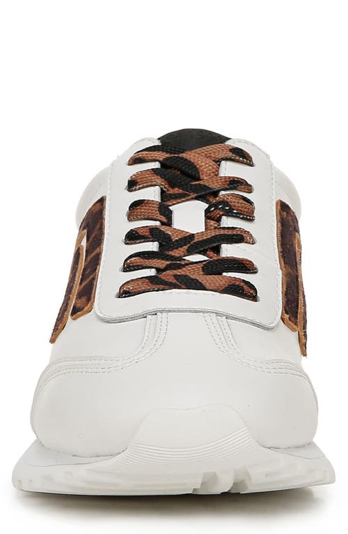 Franco Sarto Matera Oxford Sneakers In Brown Multi