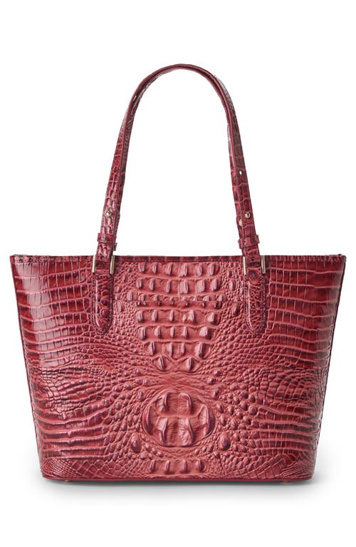 Brahmin Medium Asher Croc Embossed Leather Tote