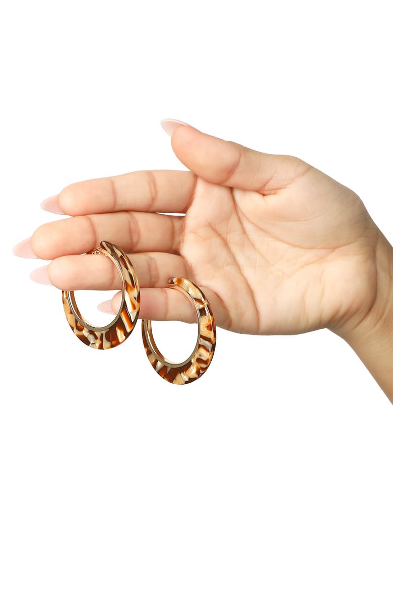 Hoop Earrings for Women Gold-Tone, Earth-Toned Hoops, Alternate, color, Gold-Tone