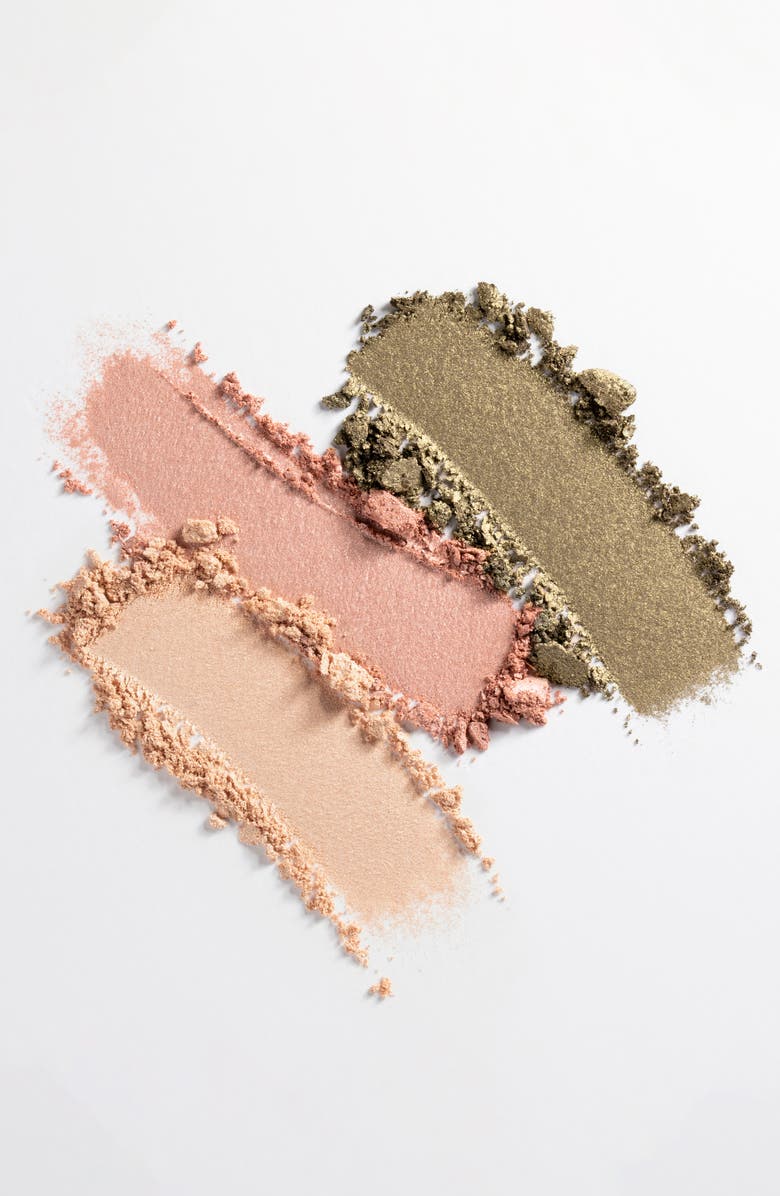 Chantecaille Sea Turtle Eyeshadow Trio, Alternate, color, 