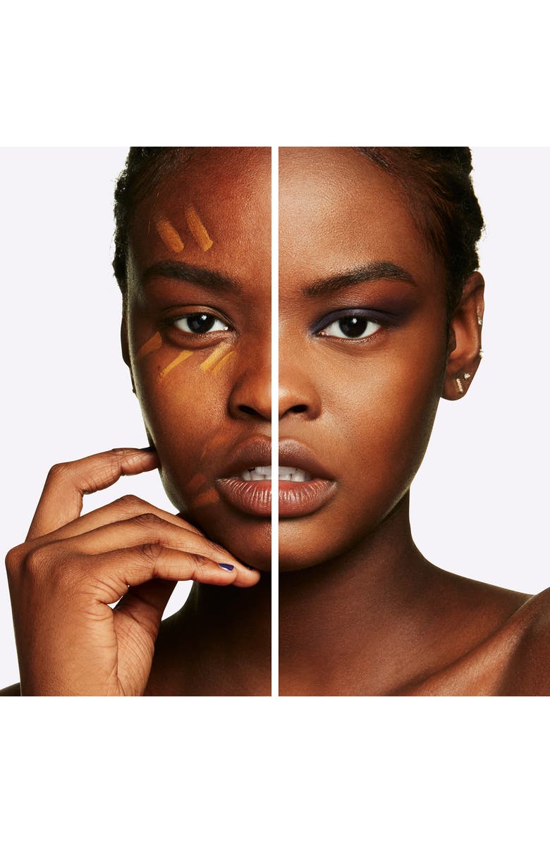 MAC Cosmetics MAC Conceal
Correct Palette, Alternate, color, Dark