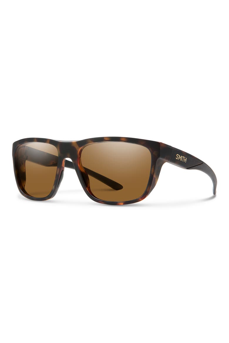 Barra 59mm ChromaPop™ Polarized Sunglasses, Alternate, color, MATTE TORTOISE/ BROWN