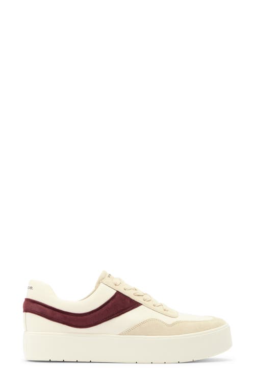 Vince Benfield Sneaker In Milk/oxblood