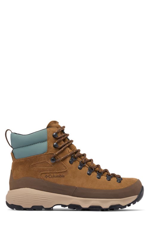 Columbia Newton Alpine Waterproof Hiking Boot In Brown