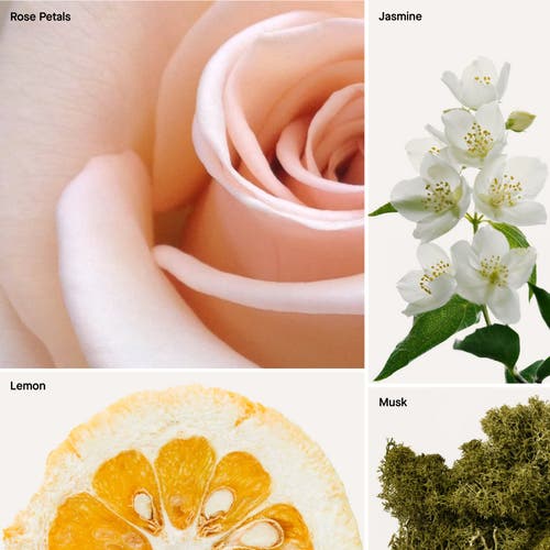 Dusa Fragrances Baies