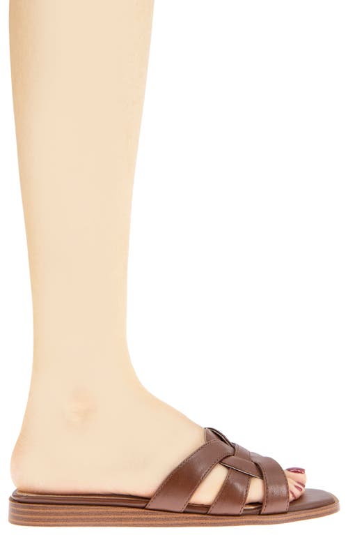 Bcbgeneration Women's Meltem Open Toe Flat Sandals In Sugar Almond