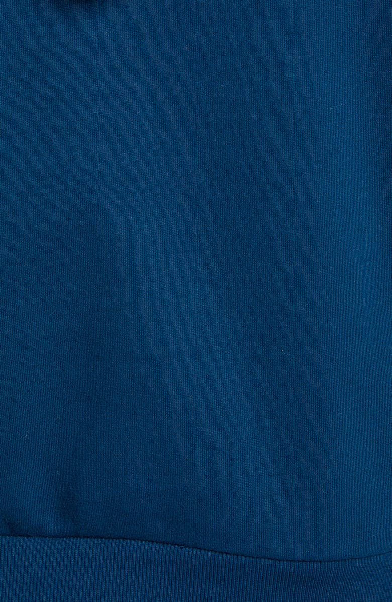 Vans Boom Boom Unity Crop Hoodie, Alternate, color, 