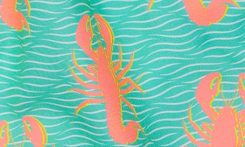 Snapper Rock Boys' Ocean Clawed Swim Short - Little Kid, Big Kid In Green