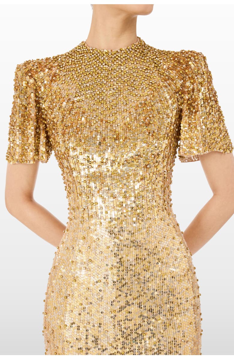 Jenny Packham Jourdain Sequin-Embellished Gown, Alternate, color, Illusion