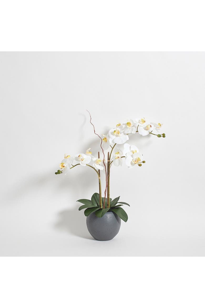 Artificial White Double Stem Orchid, Alternate, color, White and Grey