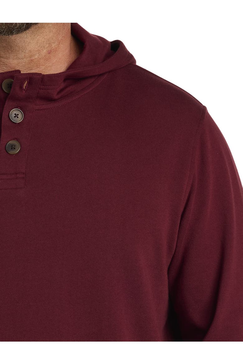 Soft-Wash Henley Hoodie, Alternate, color, ZINFANDEL
