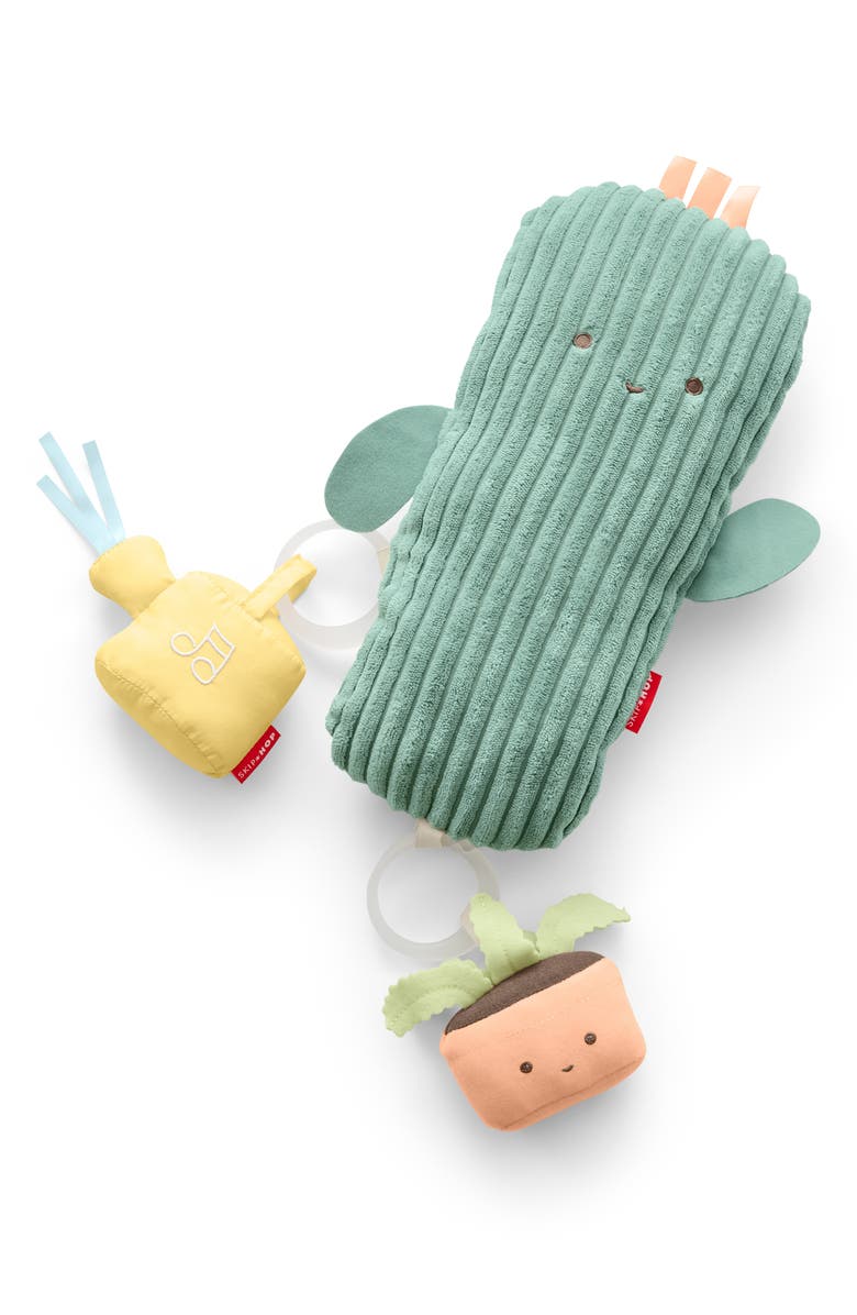 Skip Hop Garden Oasis Activity Gym, Alternate, color, Multi