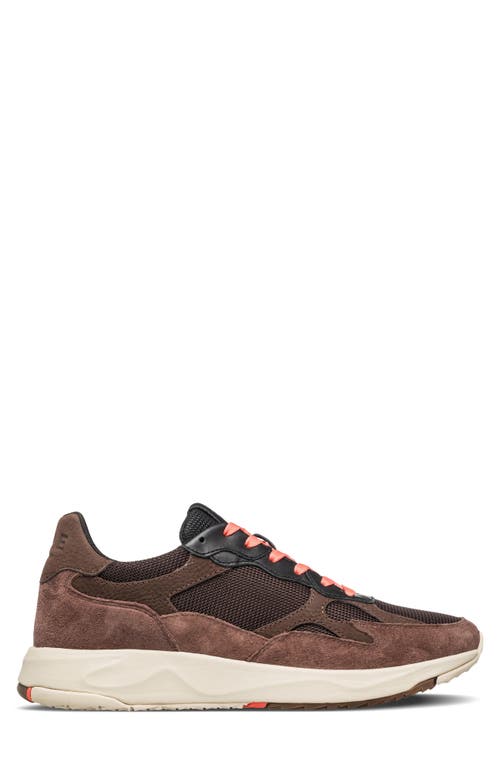 Clae Zuma Sneaker In Multi
