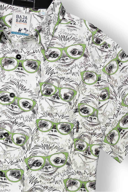 Baja Llama Sloth Meister In Multi