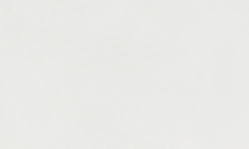 Wesc Canvas Carpenter Shorts In White