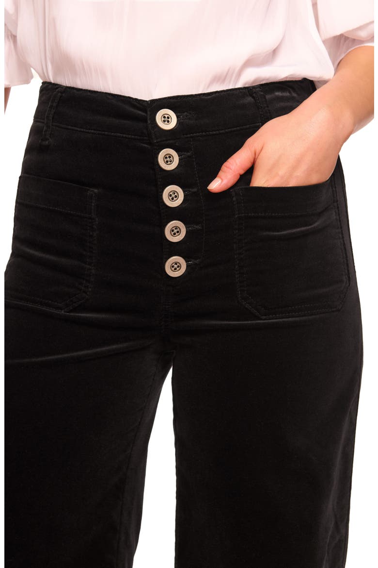 Cindy Velvet Wide Leg Pants, Alternate, color, BLACK VELVET