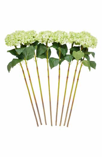 SONOMA SAGE HOME Set of Eight Green Hydrangea Artificial Flowers