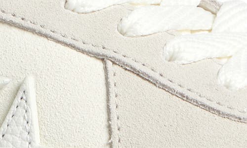 Amiri Round Head Low-cut Casual Shoes In Birch