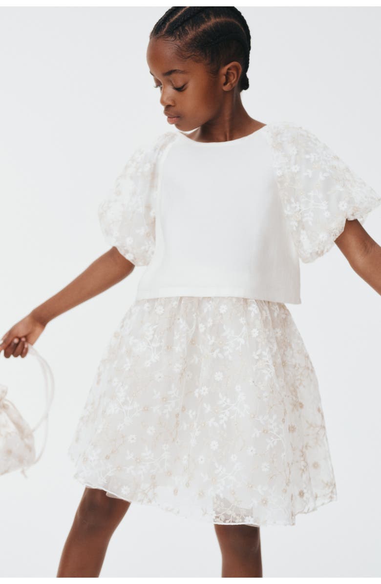 H&M Embroidered Tulle Skirt, Alternate, color, White/Floral