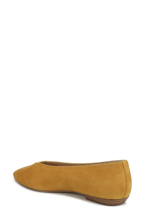 Veronica Beard Bancroft Pointed Toe Flat In Brown
