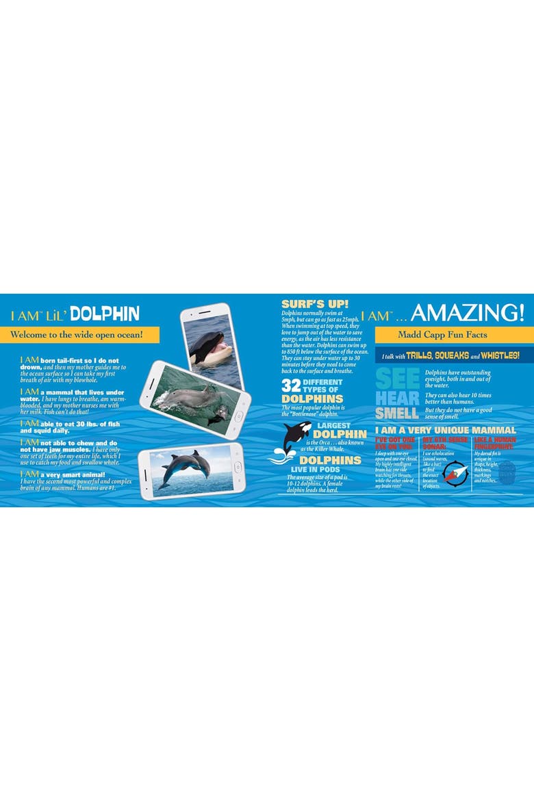 Lil Dolphin 100 Piece Jigsaw Puzzle, Alternate, color, Multicolored