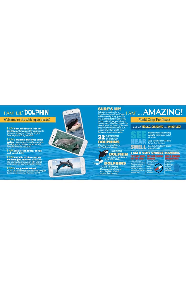 Madd Capp Lil Dolphin 100 Piece Jigsaw Puzzle, Alternate, color, Multicolored