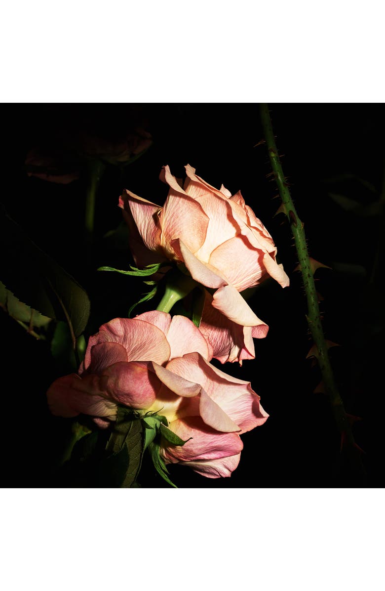 Yves Saint Laurent Blouse - Le Vestiaire des Parfums, Alternate, color,