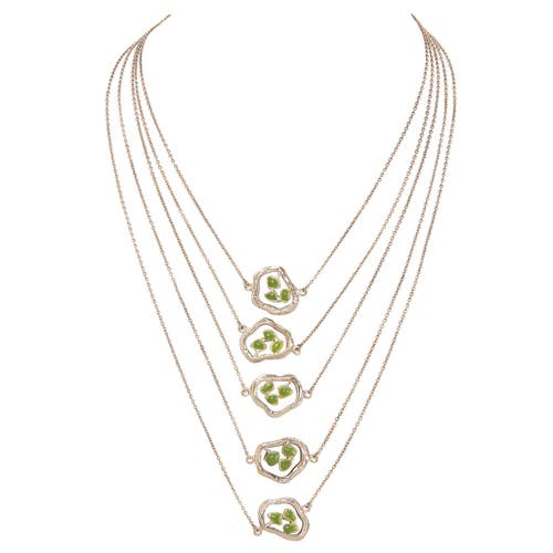 Dhwani Bhansal Terra Layered Necklace In Gold Plated