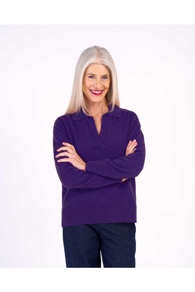 Long Sleeve Collared V-Neck Sweater, Main, color, Deep Nightshade