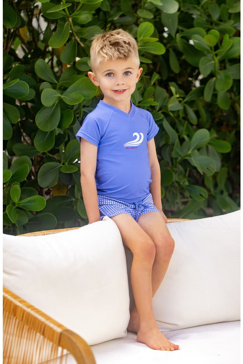 Gingham Rash Guard, Alternate, color, Blue