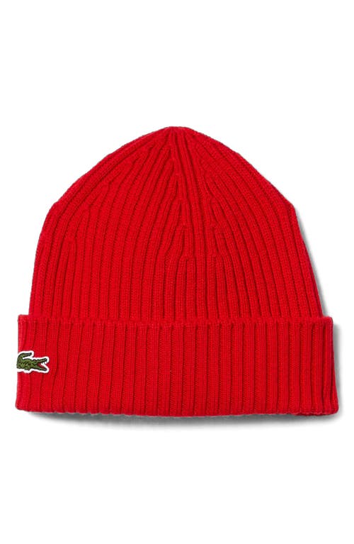 Lacoste Wool Cuff Beanie In Red