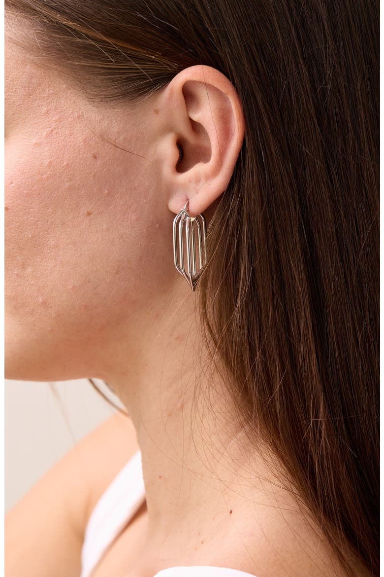 14K Gold Cage Hoop Earrings (Nordstrom Exclusive), Alternate, color, 14K WHITE GOLD