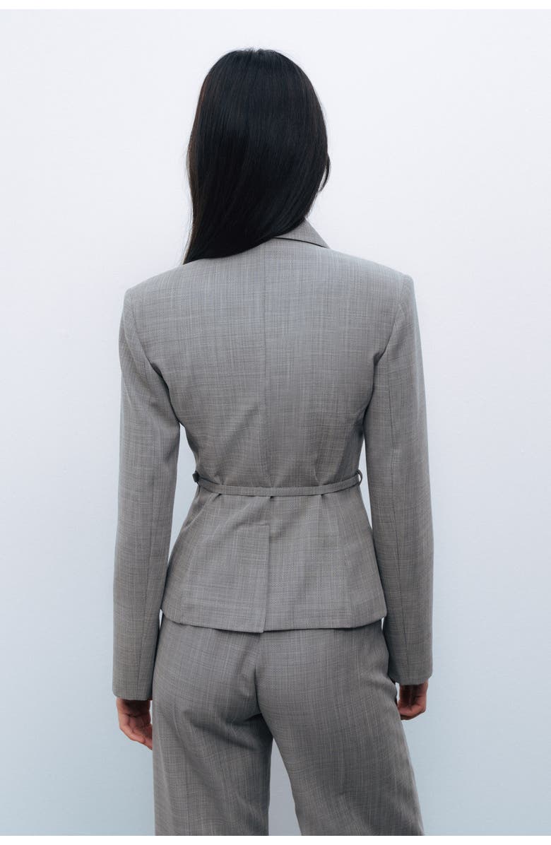 Nocturne Thin Belted Blazer, Alternate, color, 