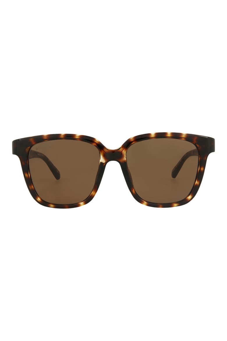 54mm Square Sunglasses, Main, color, HAVANA HAVANA BROWN