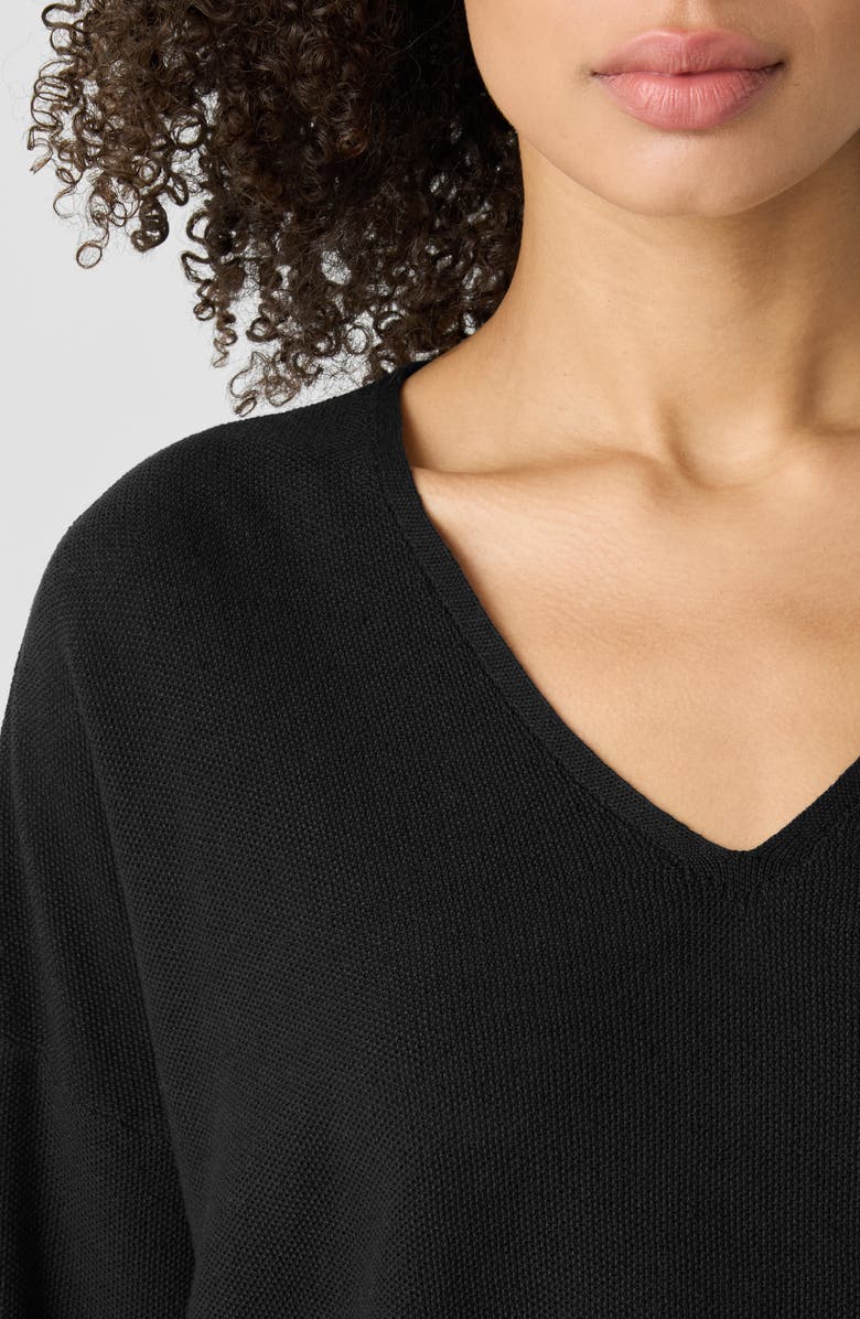 Eileen Fisher Organic Linen & Organic Cotton V-Neck Sweater, Alternate, color, Black