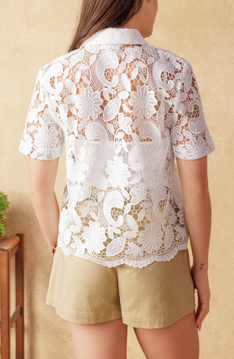 FLYING TOMATO Sheer Lace Sheer Top, Alternate, color, White