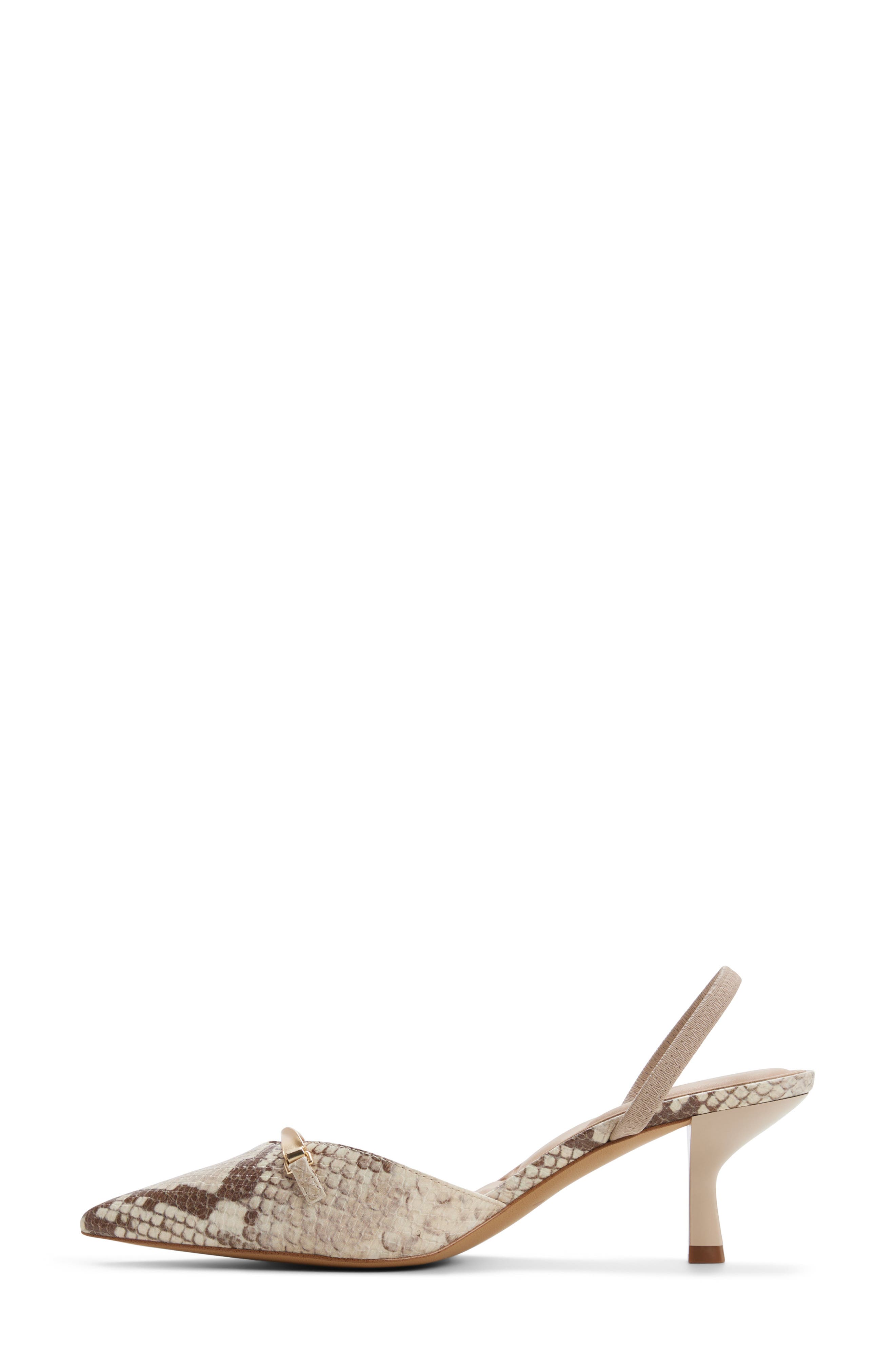 ALDO Lianya Slingback Pointed Toe Pump, Alternate, color, Brown Multi