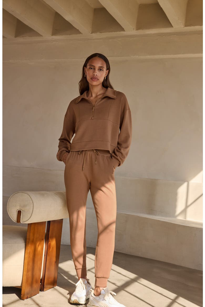 Core Skyloft Joggers, Alternate, color, CHESTNUT