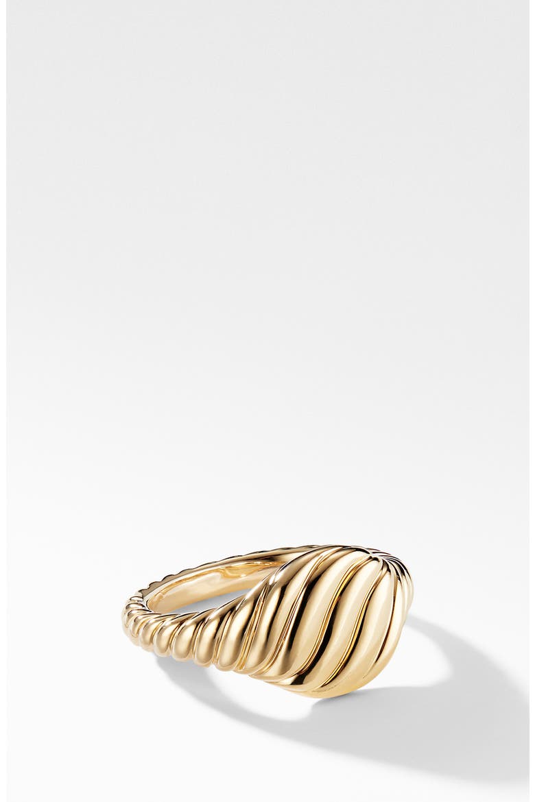 Sculpted Cable Pinky Ring in 18K Yellow Gold, Main, color, YELLOW GOLD