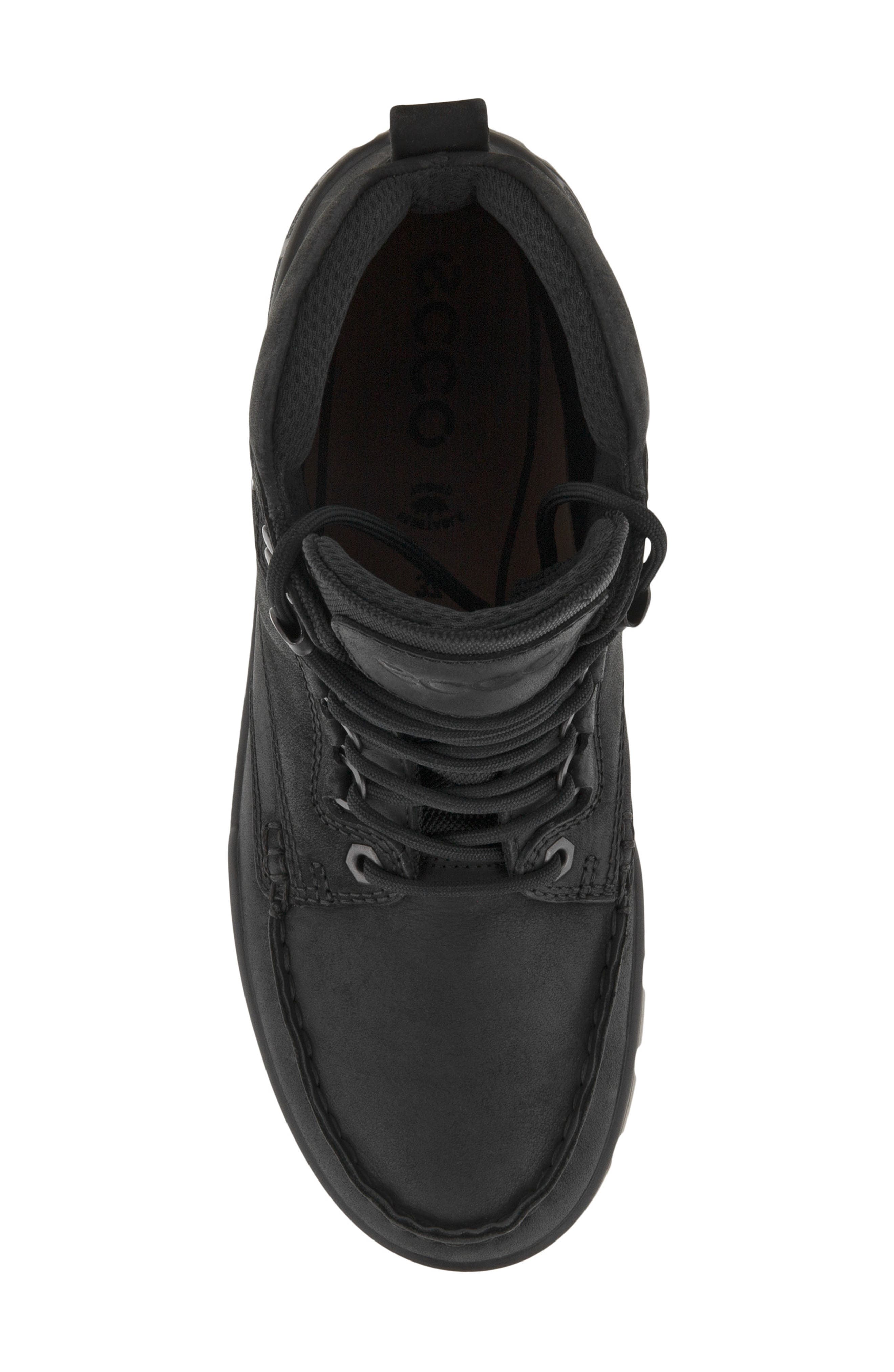 ECCO Track 25 Gore-Tex<sup>®</sup> Waterproof Hiking Boot, Alternate, color, 