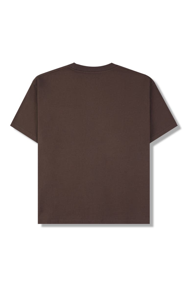 Slip Heavyweight Cotton T-Shirt, Alternate, color, BROWN