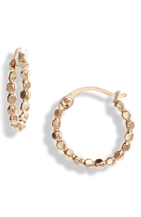 Muse Dotted 14K-Gold Fill Small Hoop Earrings