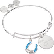 Alex and Ani Make Your Own Luck Duo Charm Bangle Bracelet