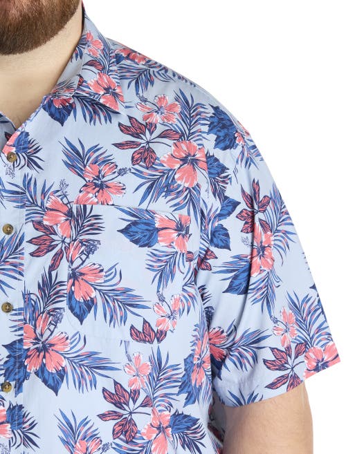 Oak Hill By Dxl Big & Tall Floral Sport Shirt In Blue Multi