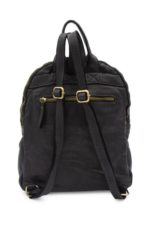 Bolsa Nova Celeste Backpack In Black