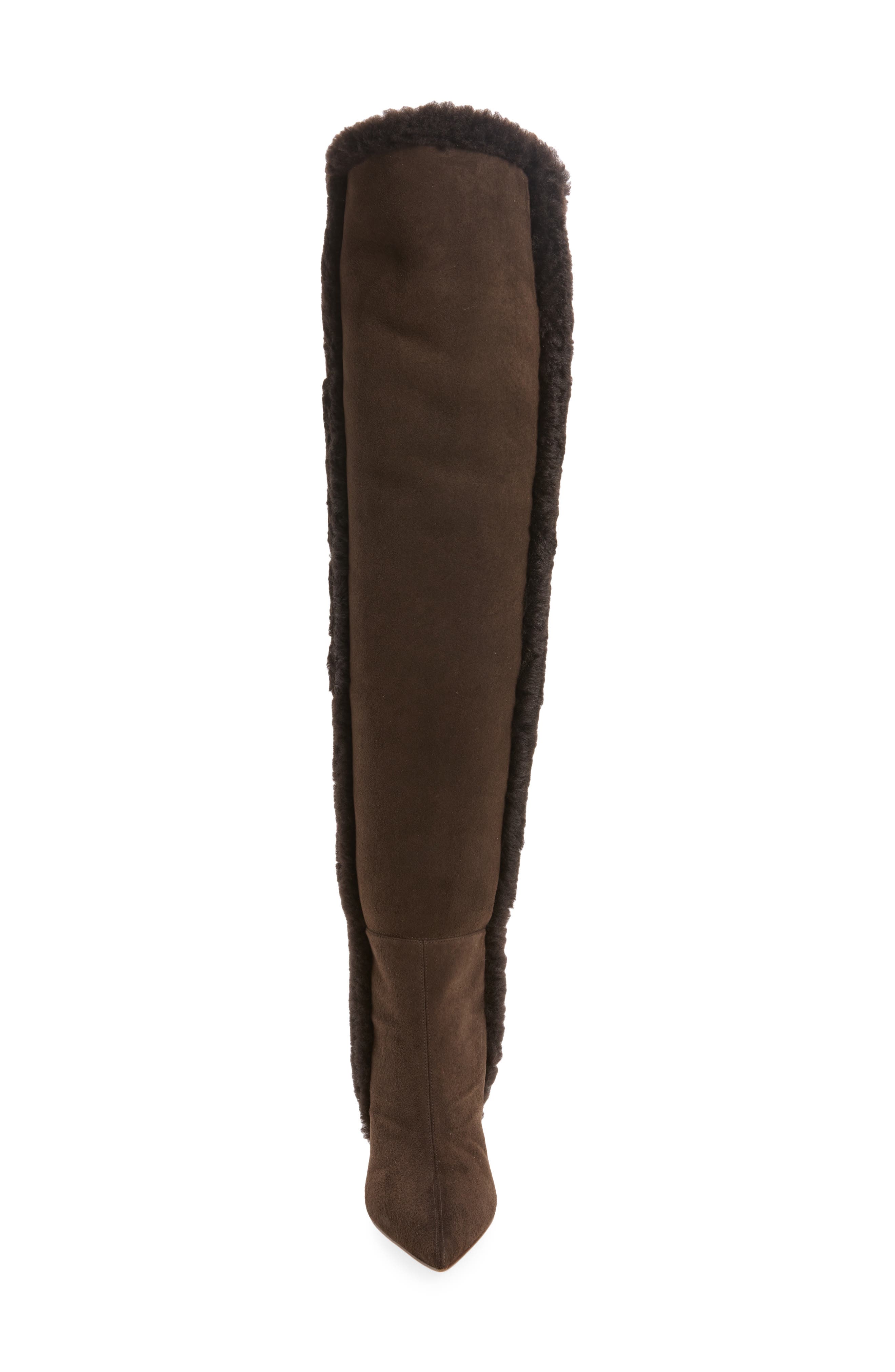 Eiza Genuine Shearling Trim Over the Knee Boot, Alternate, color, BROWN SUEDE