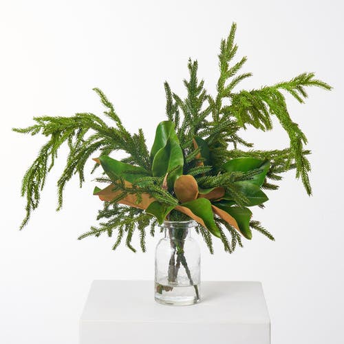 Darby Creek Trading Real Touch Norfolk Pine & Magnolia Leaf In Green