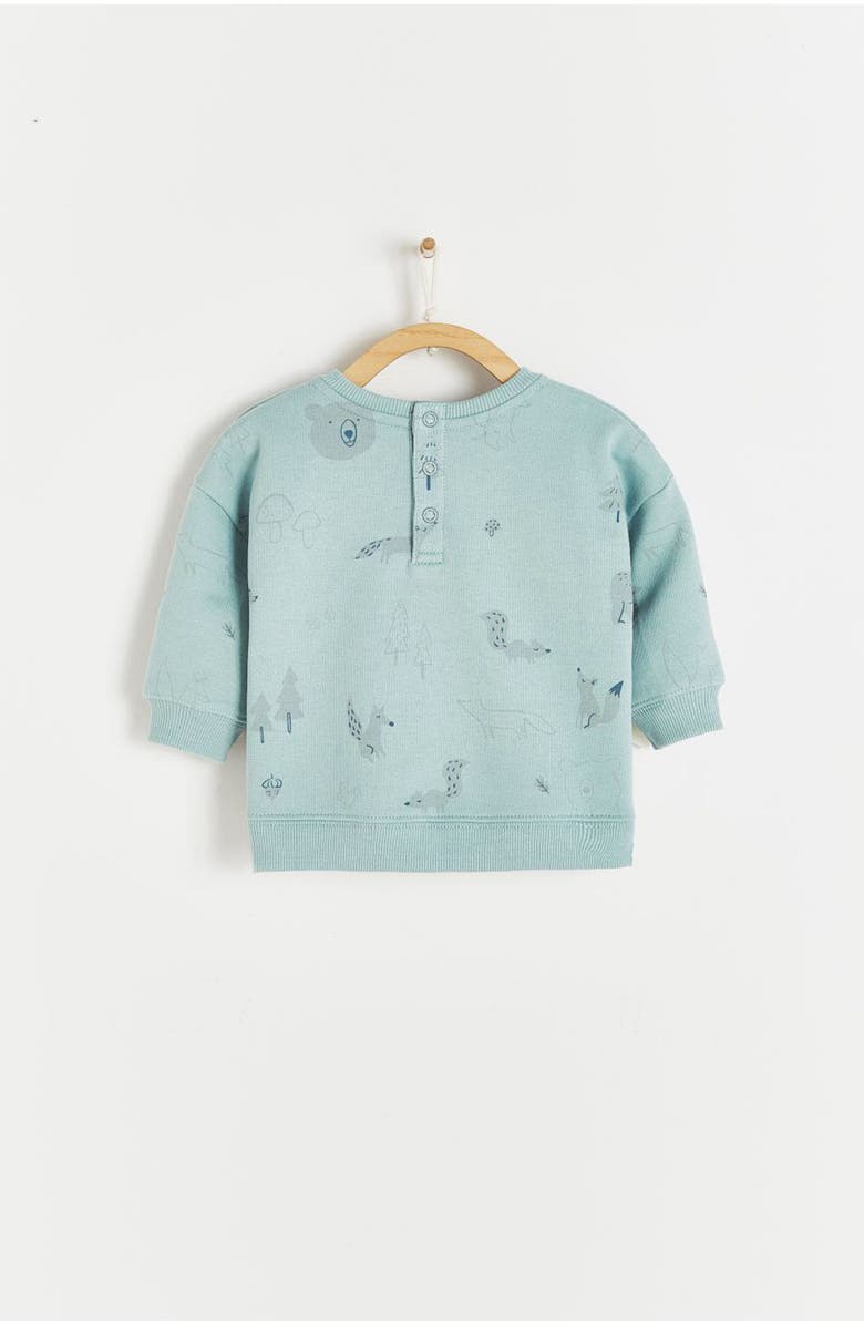 Babycottons Premium Cotton Merlin Print Sweatshirt For Infant, Alternate, color,