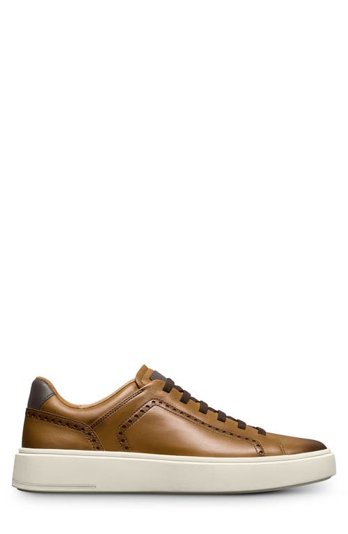 Allen Edmonds Oliver Brogue Sneaker In Walnut