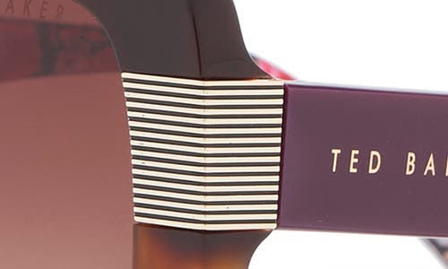 Ted Baker 56mm Gradient Square Sunglasses In Brown